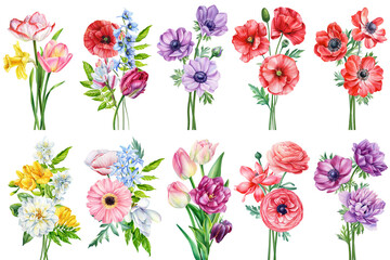Summer flowers set Watercolor painting illustration, Hand drawn botanical painting. Bouquet garden flowers isolated  - 792727645