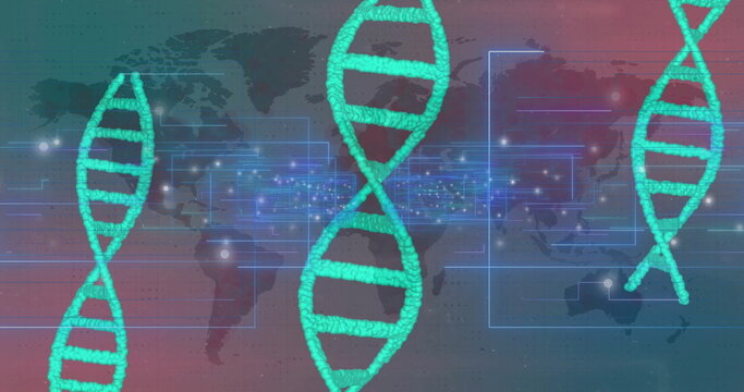 Image of dna strands over world map