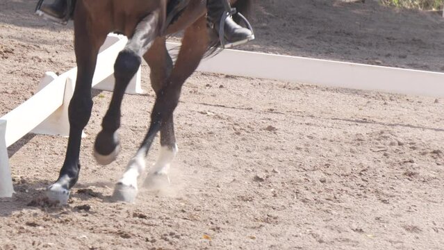 Closeup of legs of brown horse trotting on sand at riding competition.
