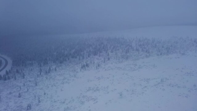 Aerial tracking shot of arctic forest and a road, foggy winter day in Inari, Lapland