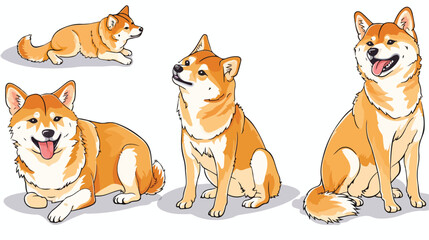Kawaii Shiba Inu dogs in Four poses. Hand drawn color