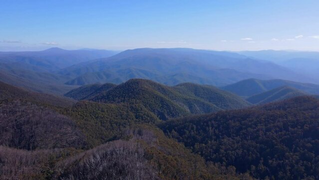 Mountain Ranges Covered With Dense Thicket In Kosciuszko National Park, New South Wales, Australia. Aerial Shot
