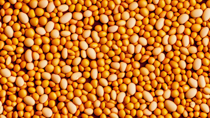 Full Frame of Peas And Legumes Variety Top View