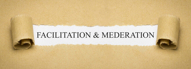 Facilitation & Moderation