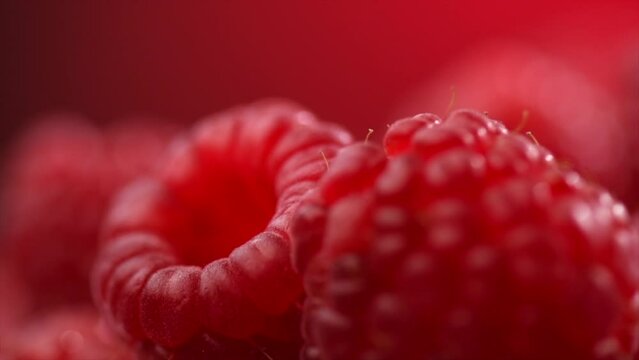 Raspberry fresh berries closeup, ripe fresh organic Raspberries macro shot. Harvest concept. Slow motion. 