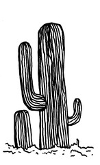 black and white cactus vector sketch © jacka