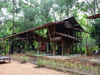  wooden house and homestay in south Thailand 