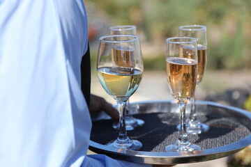 Server offers champagne and wine