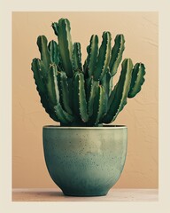 A tall, green cactus with sharp spikes sits in a ceramic pot against a beige background.