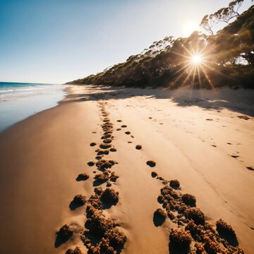 Beach coast during a sunny morning