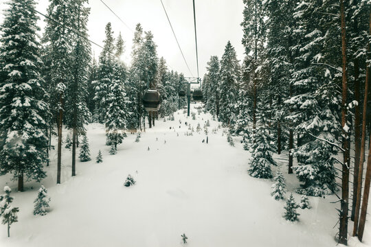 Ski gondolas ascend through a serene snowy forest.