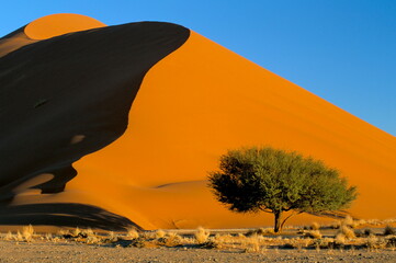 Sand dune, Sossusvlei dune field, Namib-Naukluft Park, Namib Desert, Namibia, Africa