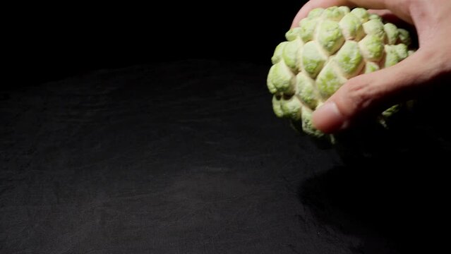 Hand Picking Up Srikaya (Sugar Apple) Fruit From Black Surface. closeup, studio shot