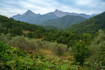 Mountain landscape near Casola in Lunigiana, Tuscany, Italy - 792768634