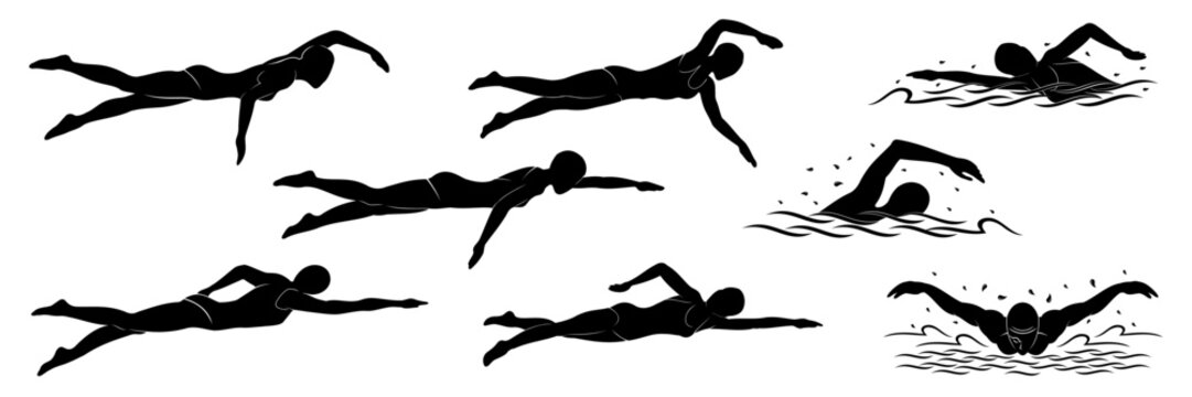 swimming vector