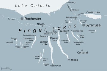 Finger Lakes region in New York State, United States, gray political map, with most important cities. Group of eleven long, narrow, roughly south-north lakes, located directly south of Lake Ontario.