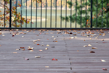 View of the wooden balcony with the fallen leaves at the lakeside