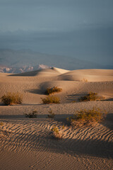 Beatiful sunrise in the Mesquite Sand Dunes, in the Death Valley National Park, California