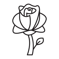 rose