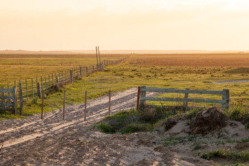Wooden fence on the sand dunes at sunset in brazil