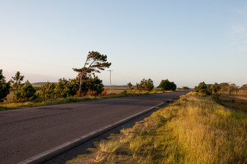 sunset on the road