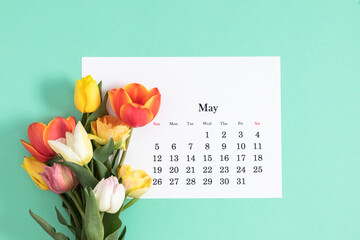 Flat lay of paper desk calendar for May 2024, top view. A bouquet of bright colorful tulips on a pastel mint background. - obrazy, fototapety, plakaty