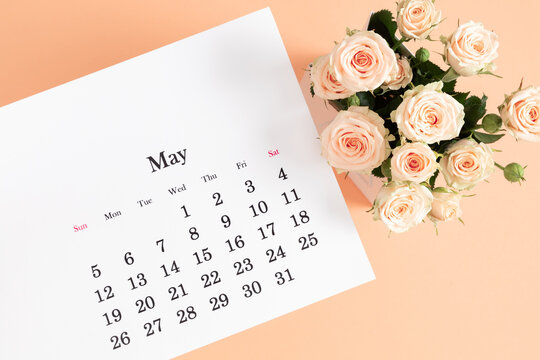 Flat lay of May 2024 paper desk calendar, top view. Pale delicate roses on beige background.