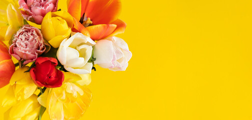 Yellow flat background and multi-colored tulip bouquet. View from above. Flat layout. On a yellow...