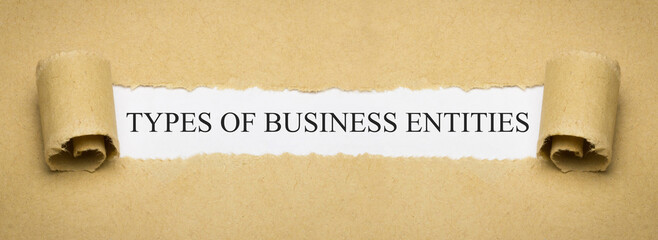 Types of Business Entities - 792804807