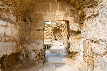 Obraz premium Remains of the antique City Salamis an Iron Age city kingdom and an ancient city in the east of the Mediterranean island of Cyprus 1