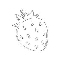 Hand drawn doodle sketch of a strawberry. Coloring page with a berry. Line art vector illustration on a white background