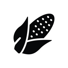 Corn vector icon