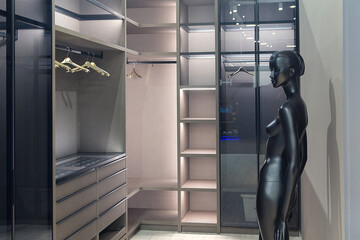 Modern luxury wardrobe and female mannequin. Interior
