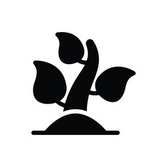 Organic Product vector icon