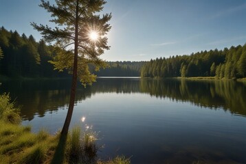 Fototapeta premium Summer in the forest, lake, bright sun