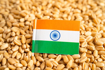 Grains wheat with India flag, trade export and economy concept.