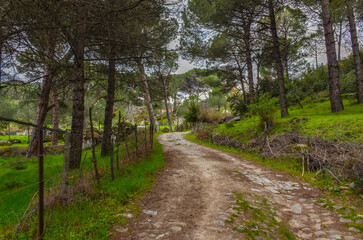 country road in Hisarkoy village near Ida Madra Geopark (Izmir province, Turkey)