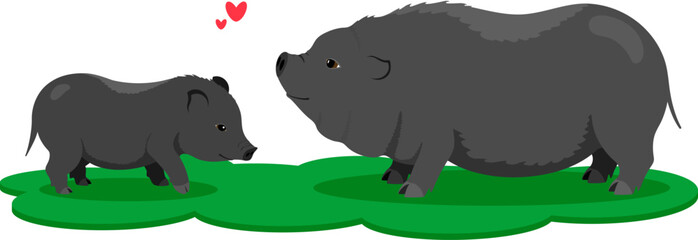 Mother pig and piglet. A family of black Vietnamese pot-bellied pigs. Farm. Isolated minimalistic illustration without background..