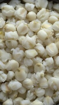 Canned white hominy for traditional Mexican pozole in a bowl on a rustic wooden background. Table spin. Vertical video.