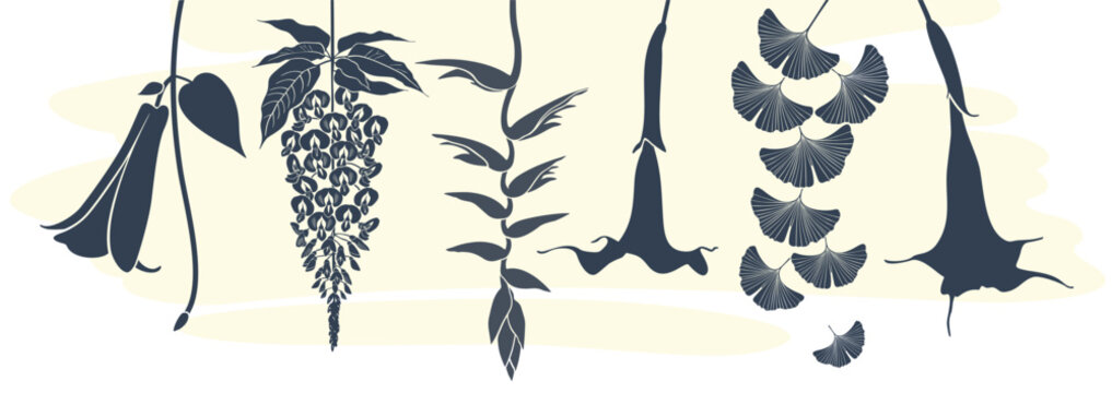 Hanging tropical plants and flowers: lapageria, wisteria, heliconia, brugmansia, ginkgo biloba. Vector set of silhouettes, light yellow abstract spot isolated on white background.