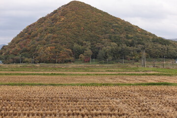 秋の田園地帯一風景