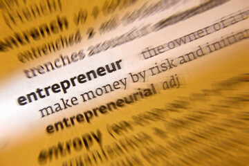 Business - Entrepreneur, a person who sets up a business or businesses, taking on financial risks in the hope of profit