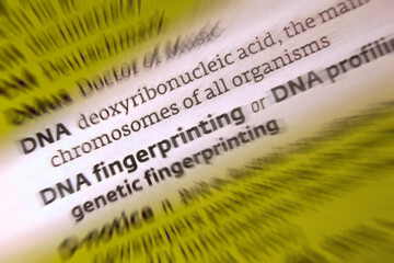 DNA - DNA Fingerprinting. Deoxyribonucleic acid  is a polymer composed of two polynucleotide chains that coil around each other to form a double helix. that  carries genetic instructions.