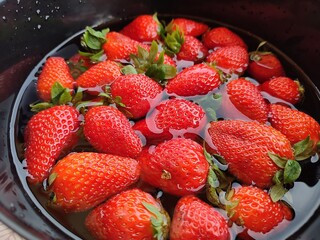 Close-up of fresh red strawberries lying in a bowl full of water to clean
