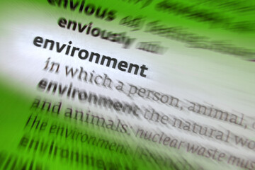 Environment - all living and non-living things occur naturally on planet Earth.