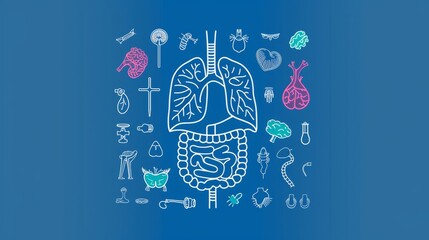 Anatomy icons of human internal organs. Simple thin outline icons as lung, heart, stomach, bone, brain, kidney, skull, and others. Editable strokes. - obrazy, fototapety, plakaty
