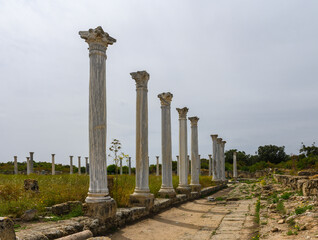 Remains of the ancient city of Salamis, Northern Cyprus 1
