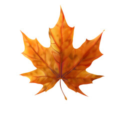 A single maple leaf with autumn colors, with a clear and detailed texture, on a transparent background.