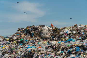 Garbage landfill. A big mountain of household waste. Problems with recycling and sorting garbage. Birds fly over the garbage dump