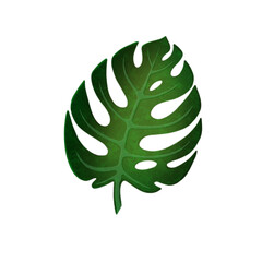 Tropical leaf in green color on transparent background